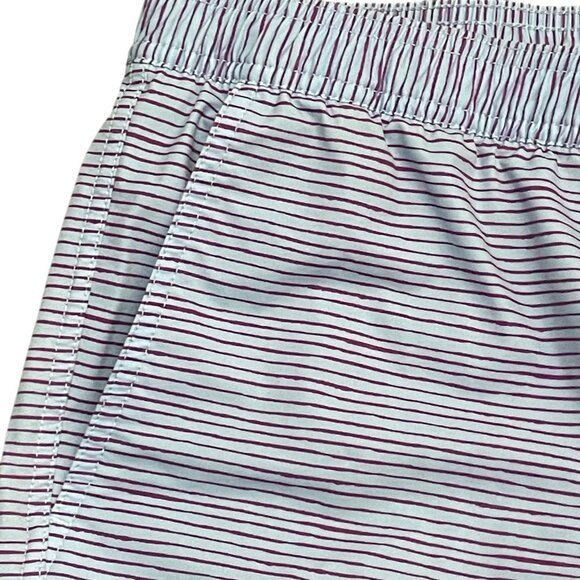 Psycho Bunny Mens Lucas Swim Shorts Blue Purple Stripe Sz M Unlined 6" Inseam - Picture 2 of 8